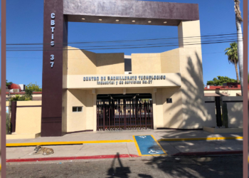 PREPARATORIA CBTIS 37 TENDRÁ TRES NUEVAS ESPECIALIDADES