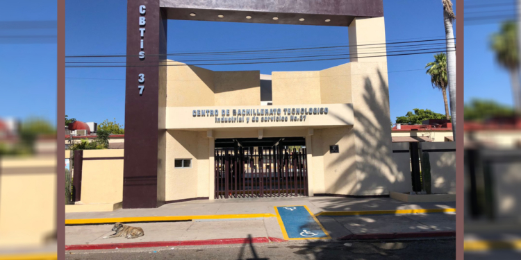 PREPARATORIA CBTIS 37 TENDRÁ TRES NUEVAS ESPECIALIDADES